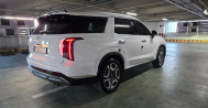 더 뉴팰리세이드 2.2 디젤 2WD 7인승 르블랑 125하3398 팰리세이드장기렌터카, 법인렌터카, 팰리세이드장기렌트